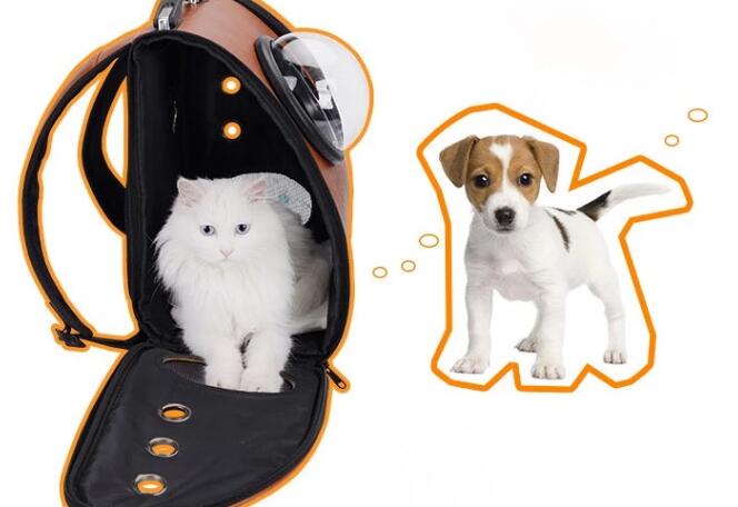 Cat Dog Carrier Backpack